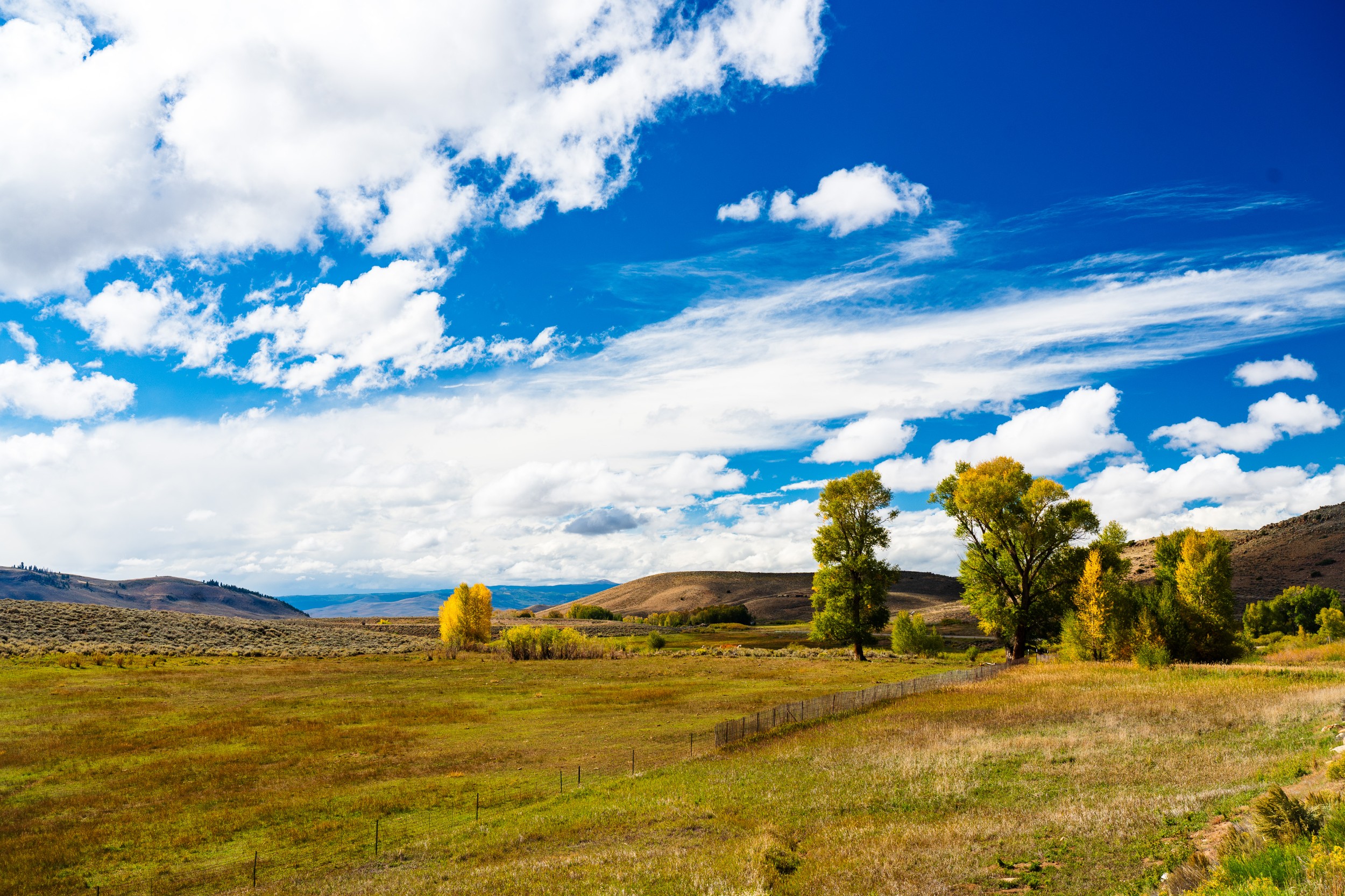 USA 2024 5 Sterne 11